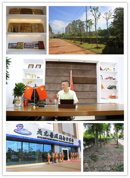 1574925197727108.jpg 89.jpg