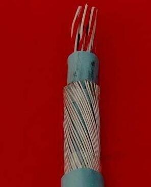 2121�Ƿ���(�й���)�����ٷ���վ