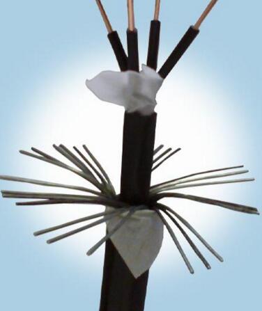 2121非凡·(中国游)体育官方网站