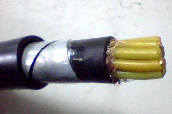 2121非凡·(中国游)体育官方网站