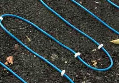 2121�Ƿ���(�й���)�����ٷ���վ