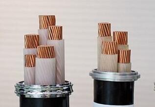 2121�Ƿ���(�й���)�����ٷ���վ