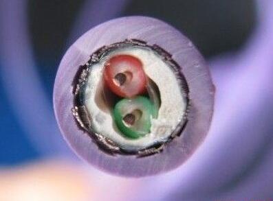 2121非凡·(中国游)体育官方网站