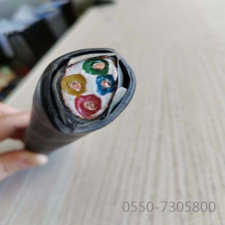 2121非凡·(中国游)体育官方网站
