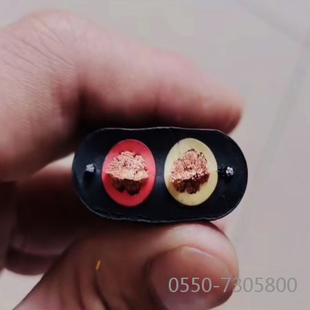 2121�Ƿ���(�й���)�����ٷ���վ