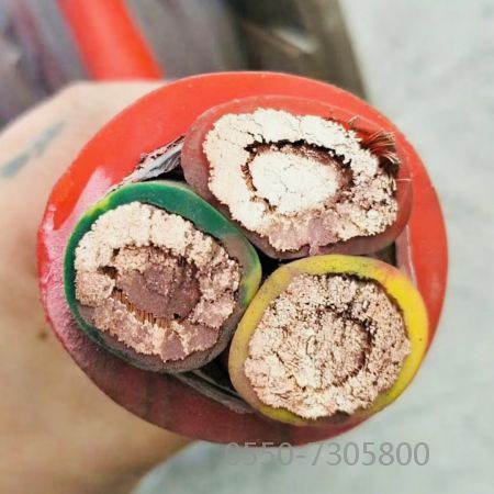 2121�Ƿ���(�й���)�����ٷ���վ