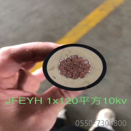 2121�Ƿ���(�й���)�����ٷ���վ