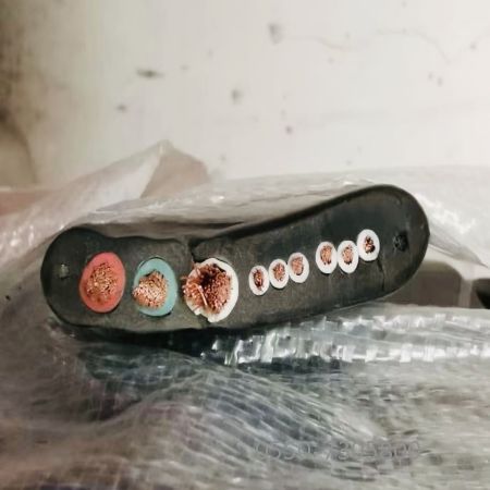 2121�Ƿ���(�й���)�����ٷ���վ