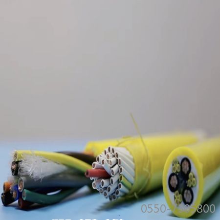 2121非凡·(中国游)体育官方网站