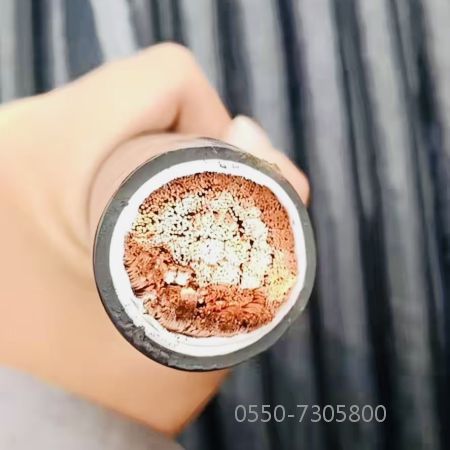 2121非凡·(中国游)体育官方网站