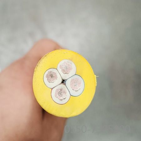 2121非凡·(中国游)体育官方网站