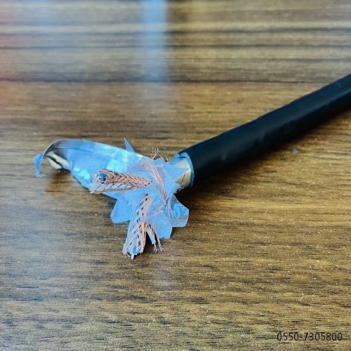2121非凡·(中国游)体育官方网站