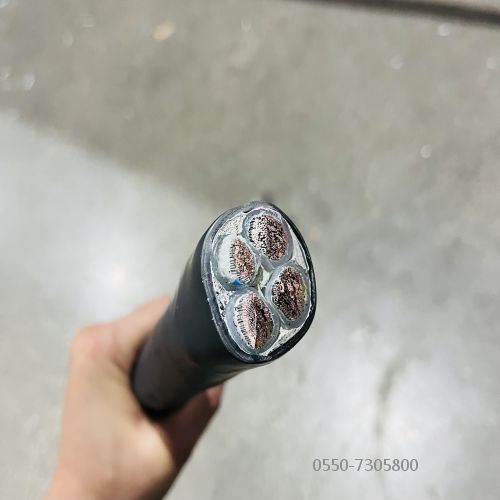 2121非凡·(中国游)体育官方网站