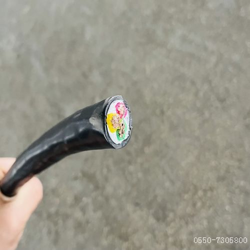 2121非凡·(中国游)体育官方网站