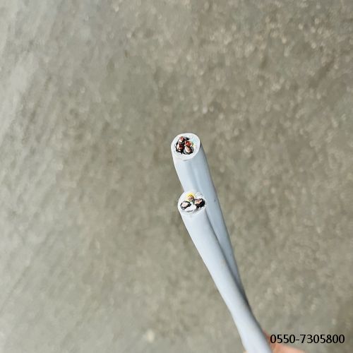 2121非凡·(中国游)体育官方网站