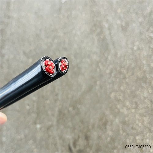2121非凡·(中国游)体育官方网站