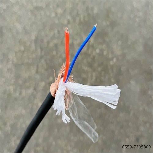 2121非凡·(中国游)体育官方网站