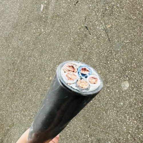 2121�Ƿ���(�й���)�����ٷ���վ