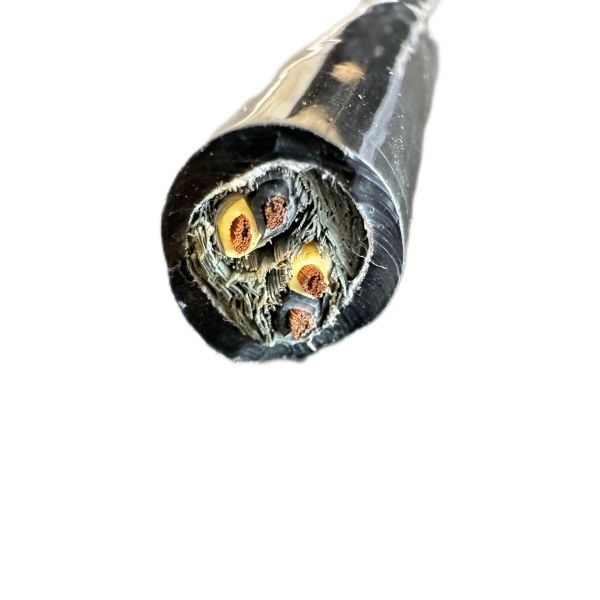 2121非凡·(中国游)体育官方网站
