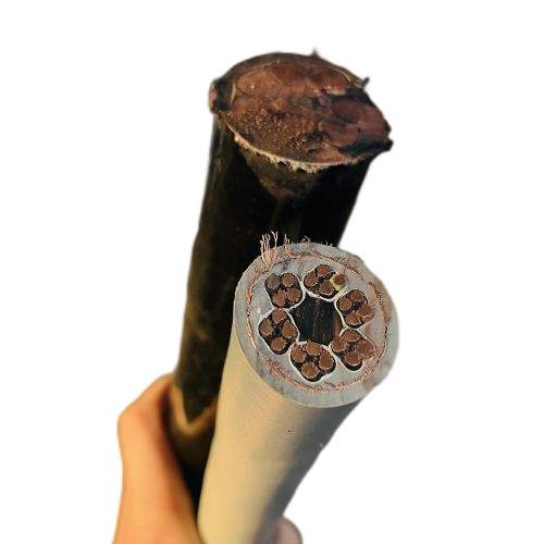 2121非凡·(中国游)体育官方网站