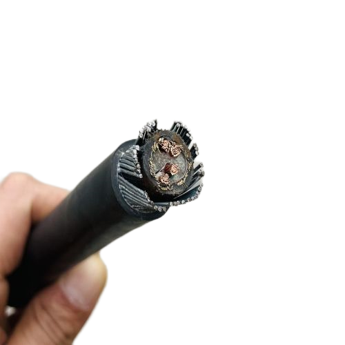 2121�Ƿ���(�й���)�����ٷ���վ