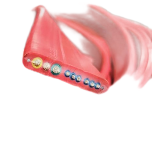 2121�Ƿ���(�й���)�����ٷ���վ