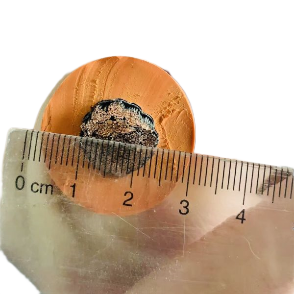 2121�Ƿ���(�й���)�����ٷ���վ