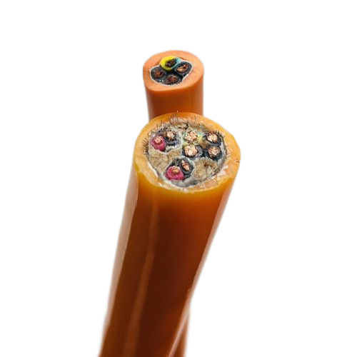2121非凡·(中国游)体育官方网站